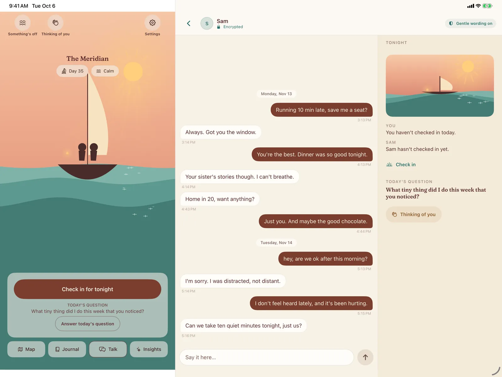 Saath on iPad: home beside the chat and tonight's check-ins